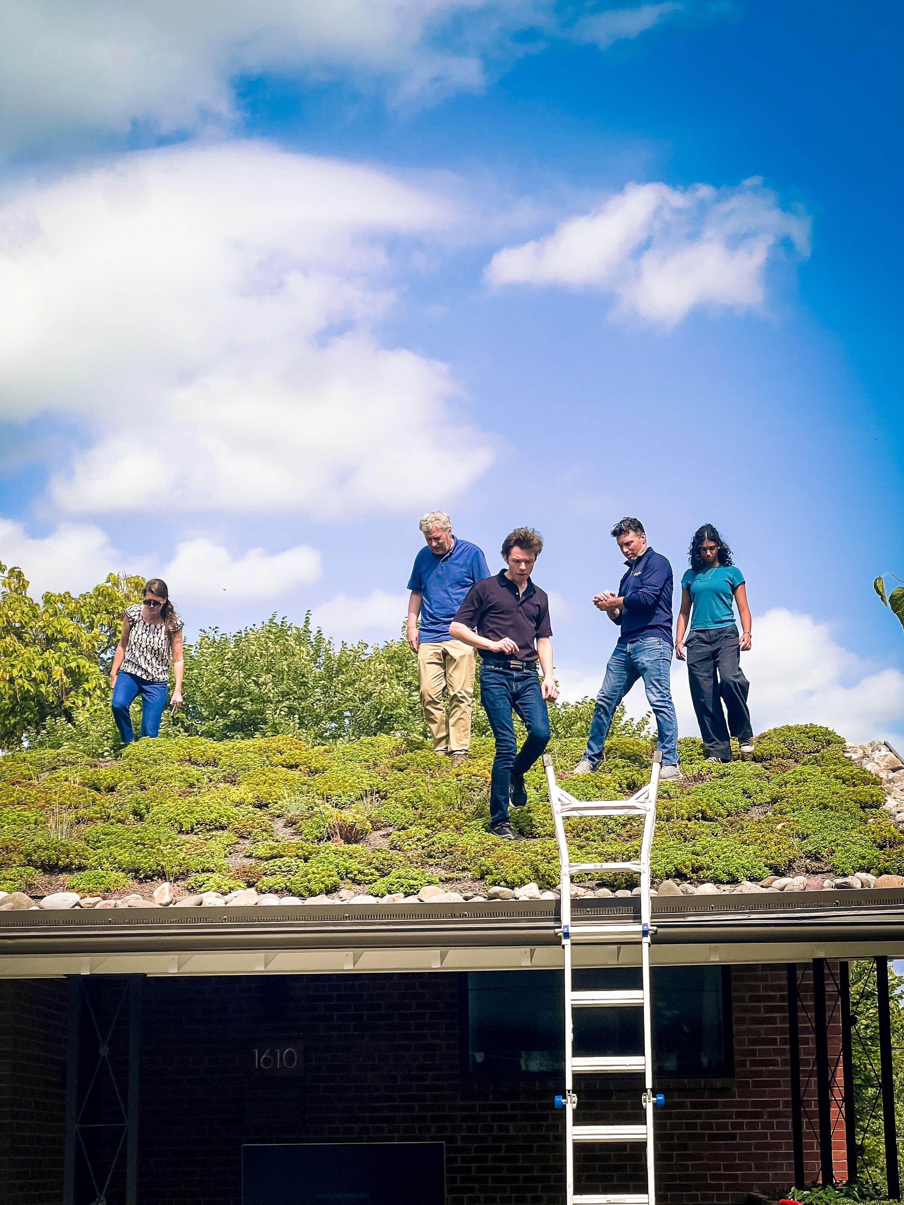 dc green roof with people standing on it